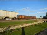 CN 509128 is new to RRPA!